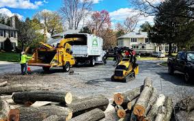 Best Lawn Drainage Solutions  in Shullsburg, WI