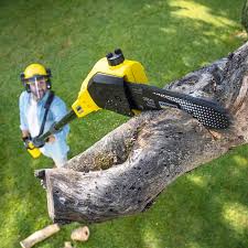 Best Landscape Design and Installation  in Shullsburg, WI
